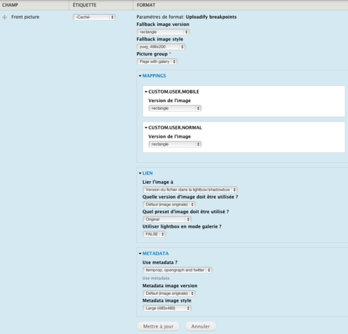 Uploadify Breakpoints - Display configuration