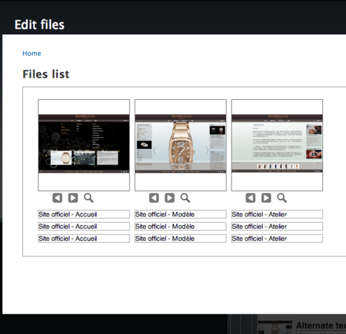 Uploadify - Upload form - Files listing